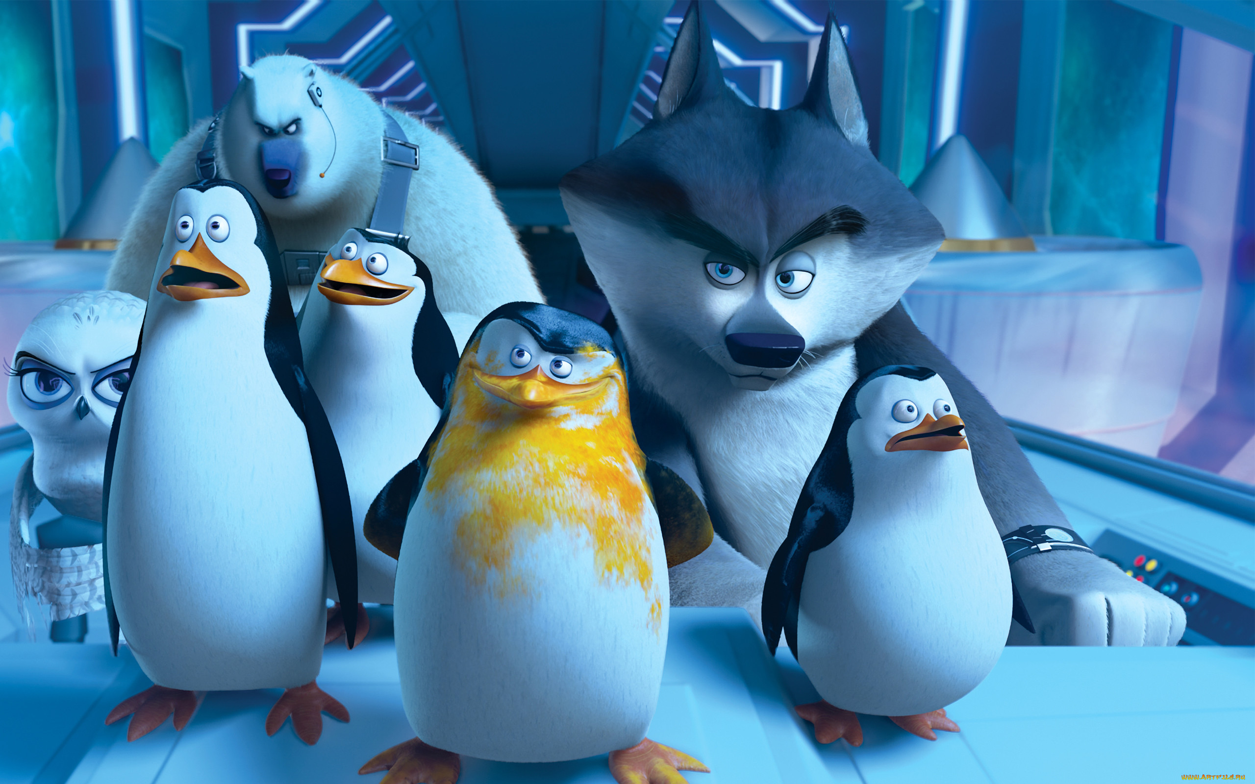 мультфильмы, the penguins of madagascar, глаза, пингвины, клюв.